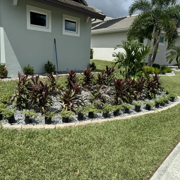 Front landscape renovation