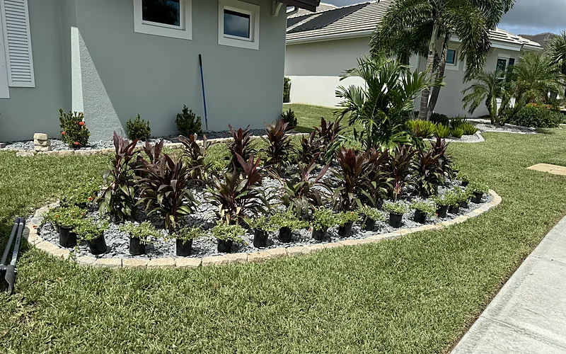 Hedge and Tree Trimming